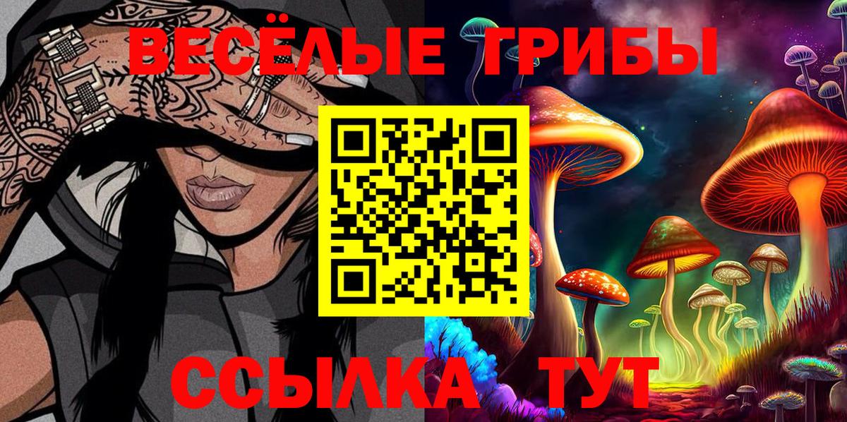 Псилоцибиновые грибы прущие грибы Строитель