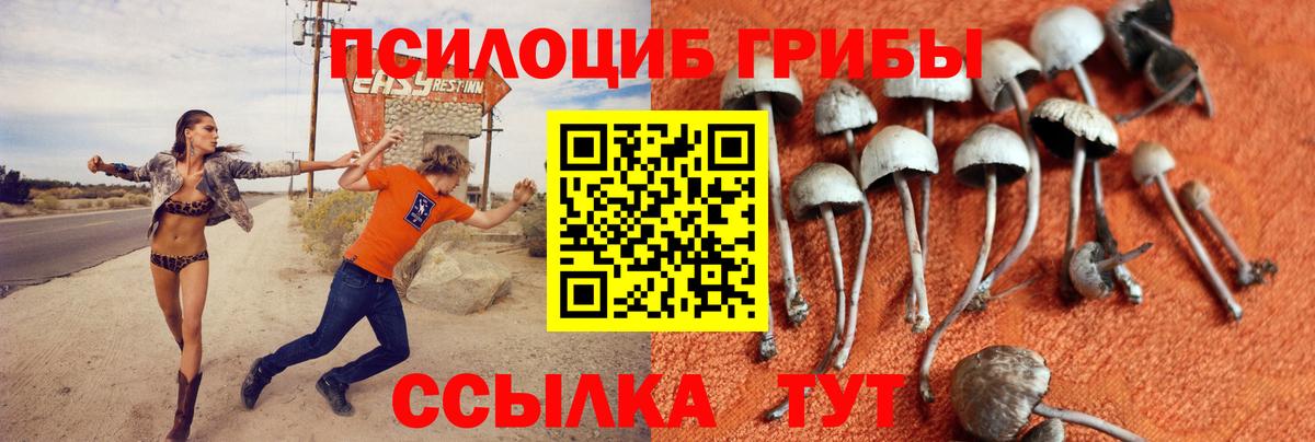 Псилоцибиновые грибы GOLDEN TEACHER  Вход с VPN  Строитель 